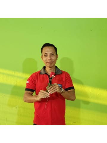 Syaiful Anas, M.Pd.